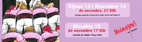 XXXVI Diada de la Colla.